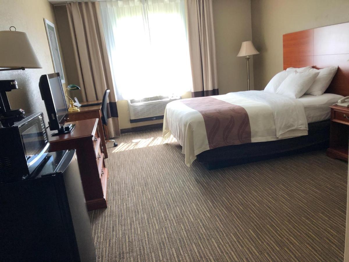 Quality Inn & Suites Ню Касъл Екстериор снимка