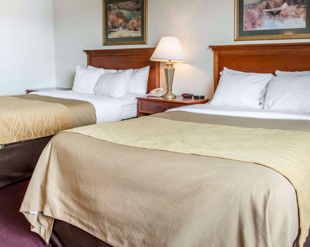 Quality Inn & Suites Ню Касъл Стая снимка